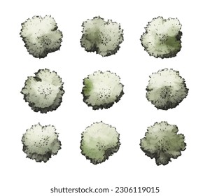Various green trees, bushes and shrubs, top view for landscape design plan. Vector watercolor illustration, isolated on white background.