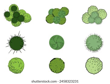 Various green trees, bushes and shrubs, top view for landscape design plan. Vector illustration, isolated on white background. Elemetns for designers. Eps 10