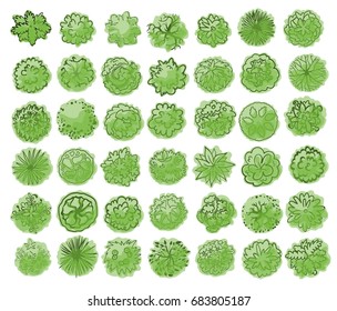 Various green trees, bushes and shrubs, top view for landscape design plan. Vector illustration, isolated on white background.