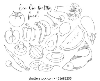 Various of hand drawn Eco bio healthy food