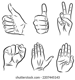 various hand gestures vector drawing