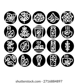 Verschiedene Kräuter und Gewürze, die als flache Glyphensymbole dargestellt werden und natürliche Inhaltsstoffe, Wellness, Bio-Lebensmittel, ätherische Öle und Kräutertee darstellen