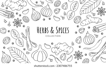 Various herbs and spices outline illustration