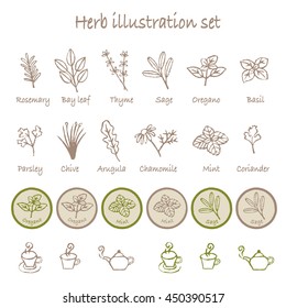 Various herbs and tea cups illustration set