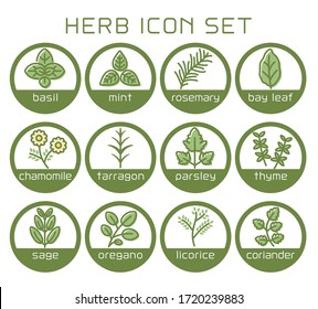 Various herbs vector icon set.