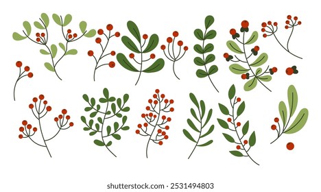 Various holly berry branches and green leaves flat color vector objects set. Christmas holiday floral ornament illustrations pack on white