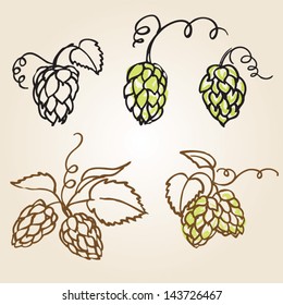 Various hops vector illustration