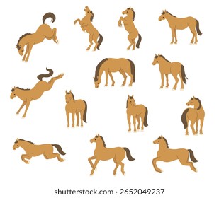Conjunto de Ilustração de Pose de Cavalo Diverso (Estilo Plano)

