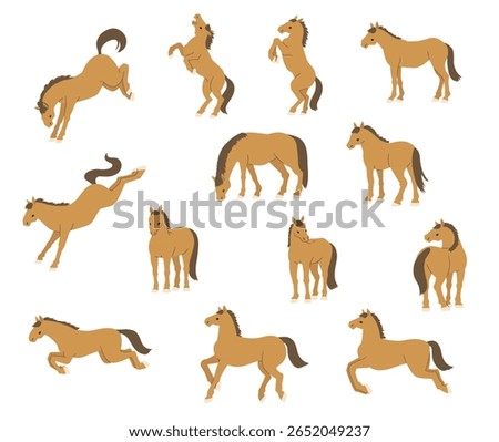 Various Horse Pose Illustration Set (Flat Style)
