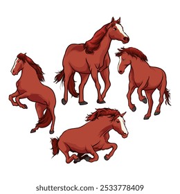 various horse poses vector with white background