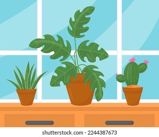 Varias plantas de hogar en macetas en el umbral de la ventana. Plantas interiores en macetas paradas frente a la ventana. Vector de caricatura de jardinería urbana