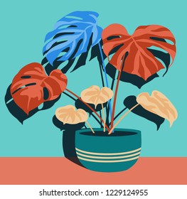 Various houseplants in single green pot on green wall