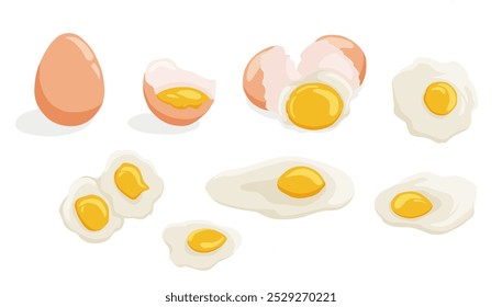 various illustrations of eggs containing whole eggs, broken eggs and fried eggs, which can be used for illustrations in children's books, food business designs or others. A simple flat vector design