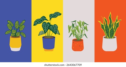Various indoor plants in a pot, prayer plant, snake plant, philodendron, calathea, marantha | Indoor jungle flat vector illustration