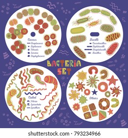 Various infection bacteria biology vector set systematized and signed by types