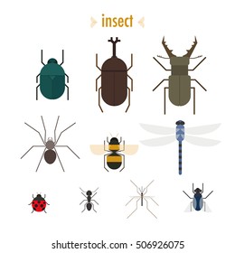 various insect vector illustration flat design