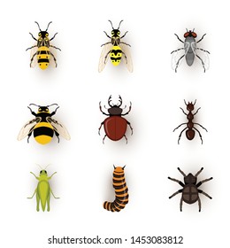 Various insects flat vector illustrations set. Bee, wasp and bumblebee. Small bugs, entomology isolated cliparts. Fly, stag beetle and ant. different tiny pests. Grasshopper, caterpillar and spider