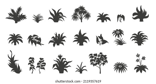 various jungle plants silhouette on the white background 