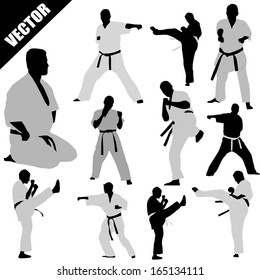 Various karate poses of  fighters silhouettes on white background, vector illustration