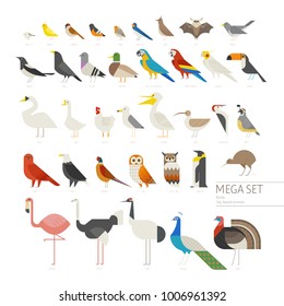 various kind of birds mega set icons geometric vector illustration flat design