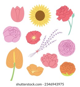 Various kind colorful flower illustration