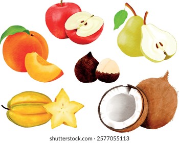 various kind of fresh fruits hand-drawn water colour illustration 
