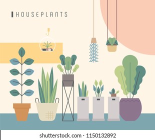 various kind of house plant pots. flat design style vector graphic illustration set