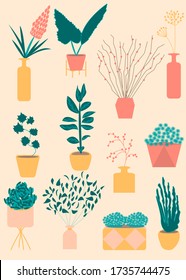 Various kind of indoor houseplants growing in pots, home decorations flora decor. Flat design style vector illustration set. Growth of plants isolated on white, made in pastel colors