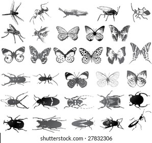 Various kind of insects