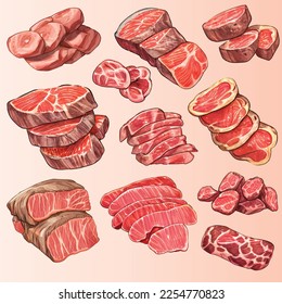 A Various Kind of Meat (Beef, Pork, Fillet, Mutton, Sirloin, Minced pork) in Set of Vector