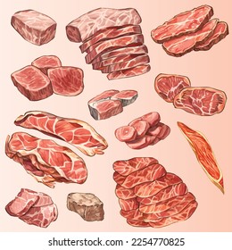 A Various Kind of Meat (Beef, Pork, Fillet, Mutton, Sirloin, Minced pork) in Set of Vector