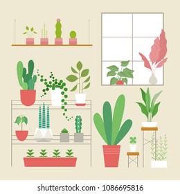 various kind of plant pot in the room. flat design style vector illustration set