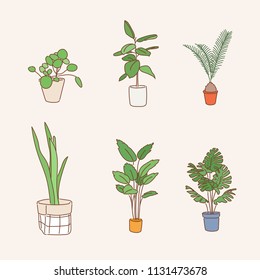 various kind of plant pots. hand drawn style vector design illustrations.