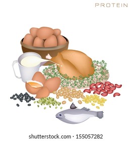 Various Kind of Protein Foods to Improve Nutrient Intake and Health Benefits, Protein Is One of The Main Types of Nutrients. 