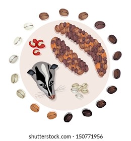 Various Kind of Roasted Coffee Bean Around Civet Cat and Civet Coffee Beans, The Most Expensive Coffee in The World 