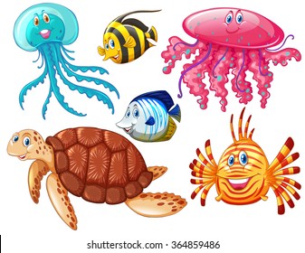 Various kind of sea animals illustration