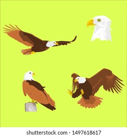 various kinds of eagle vector images: eagle flying, eagle's head, eagle is alighting, eagle is ready to attack