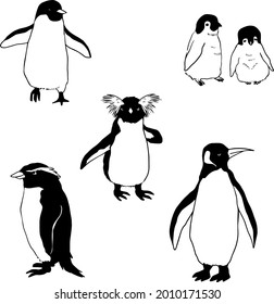 Diversos tipos de íconos de pingüinos pintados a mano