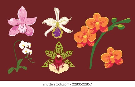 various kinds of native Indonesian orchids with a tropical climate