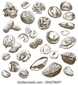 Various kinds of nuts, set of sketches made by hand