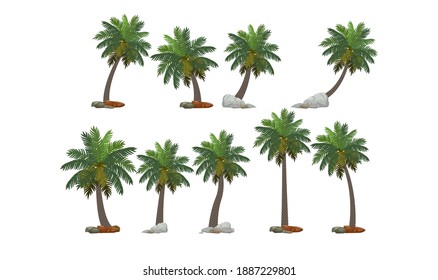 various kinds of palm trees vector design