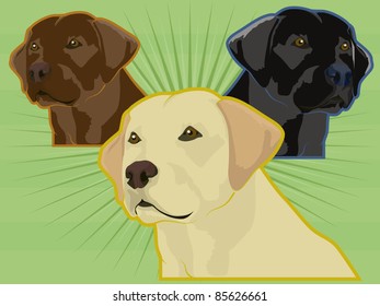 Various Labrador Retriever Dogs Set