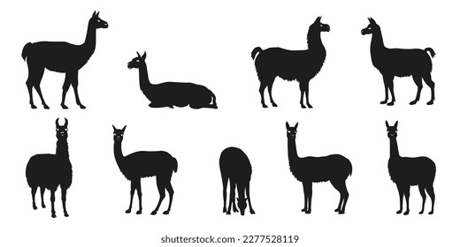 various lama silhouettes on the white background