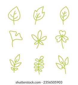 Various leaf shapes illustrated: from broad and oval to slender and serrated, nature's diversity in foliage is a visual marvel
