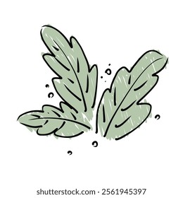 Various leaf shapes are used for general decorative purposes for beauty.