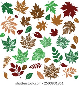 various leaf silhouettes in different colors