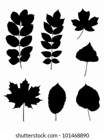 Various leaves