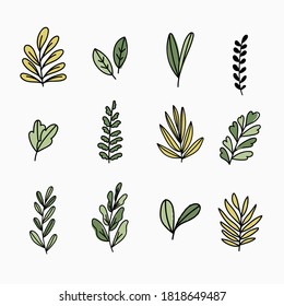 Various leaves doodle collection. Vector illustration