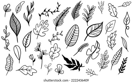 Various leaves doodle collection vector design template