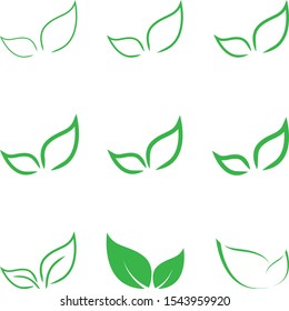Various leaves in green collection